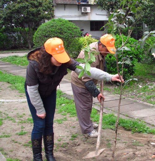 钱东社区植树节"绿色行动"